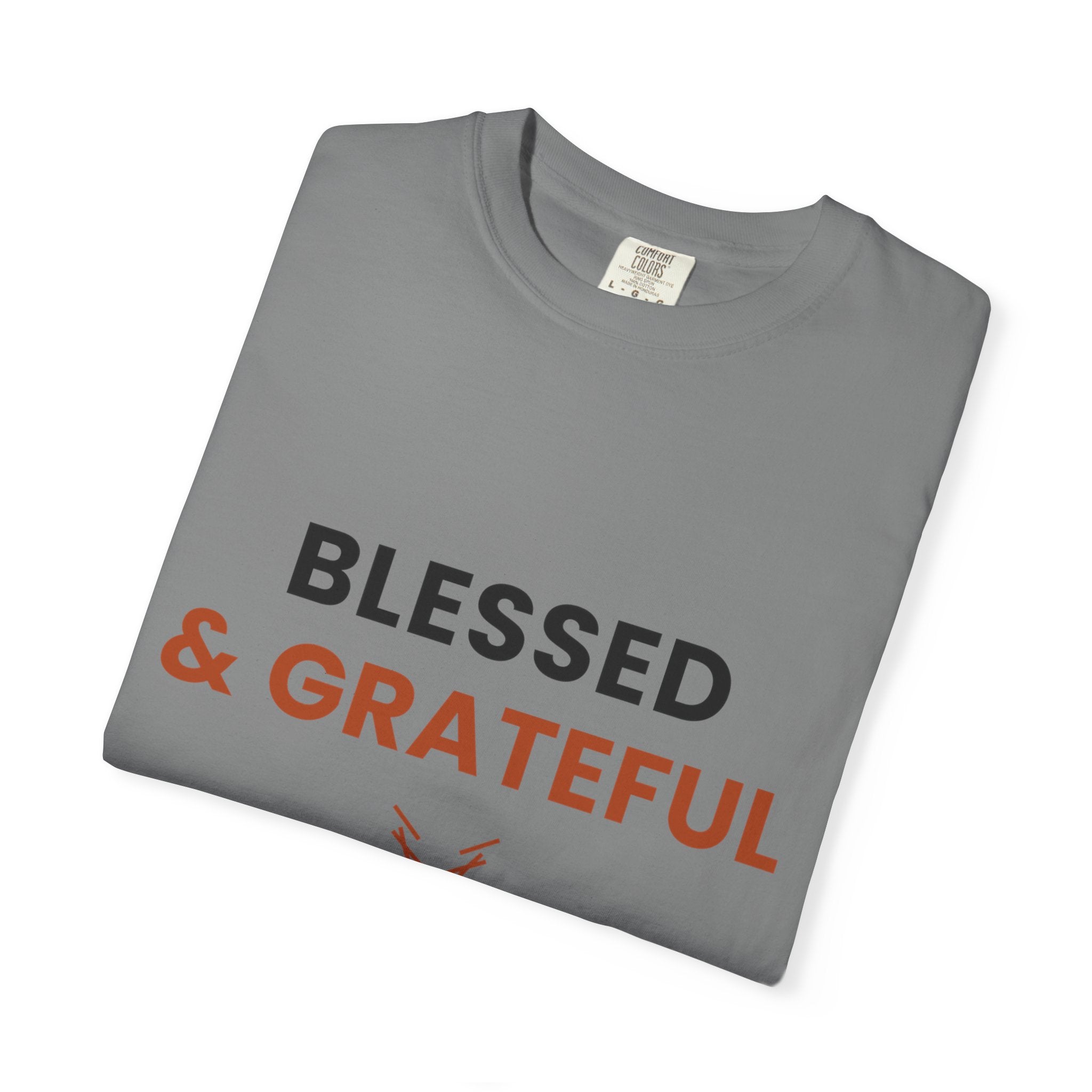 Blessed and Grateful Shirt | Christian Tee with Antler Accent
