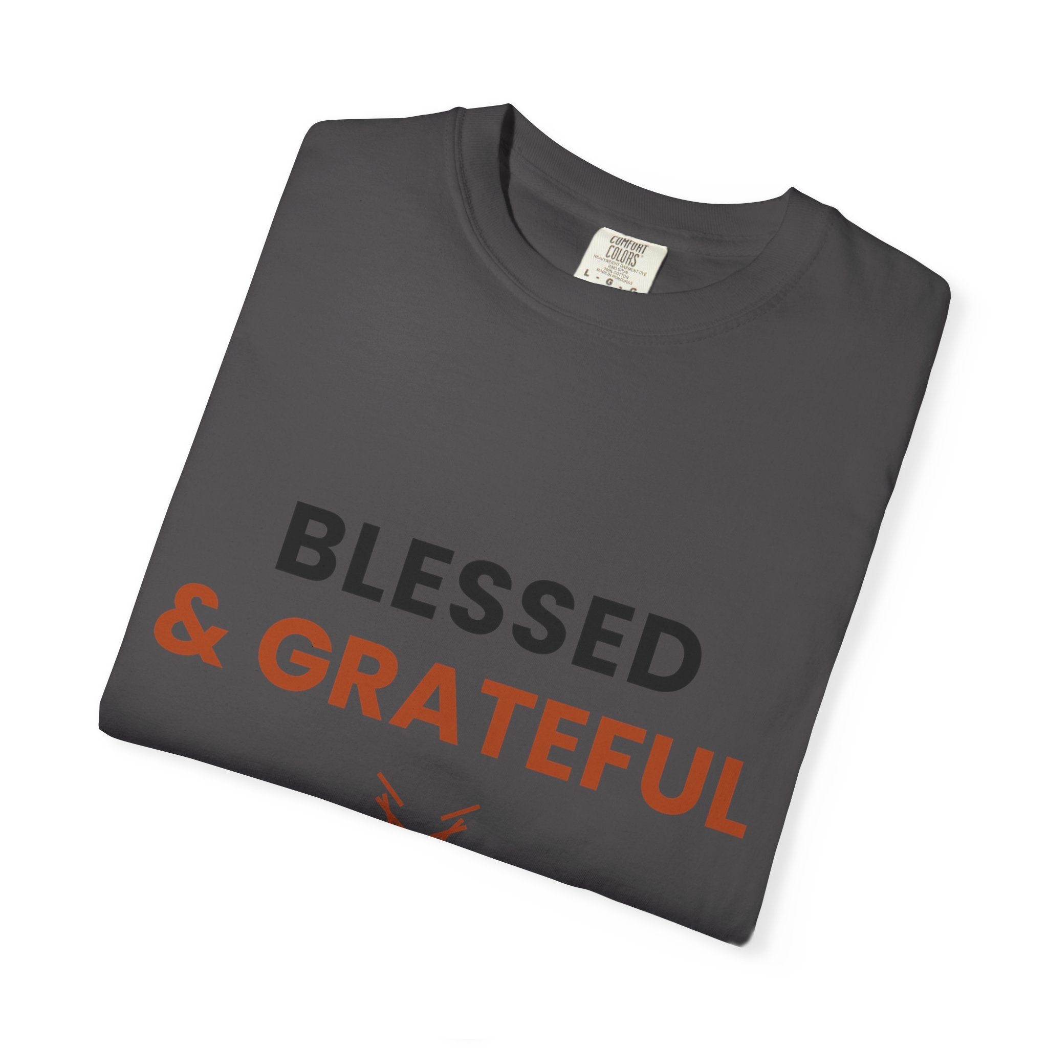 Blessed and Grateful Shirt | Christian Tee with Antler Accent