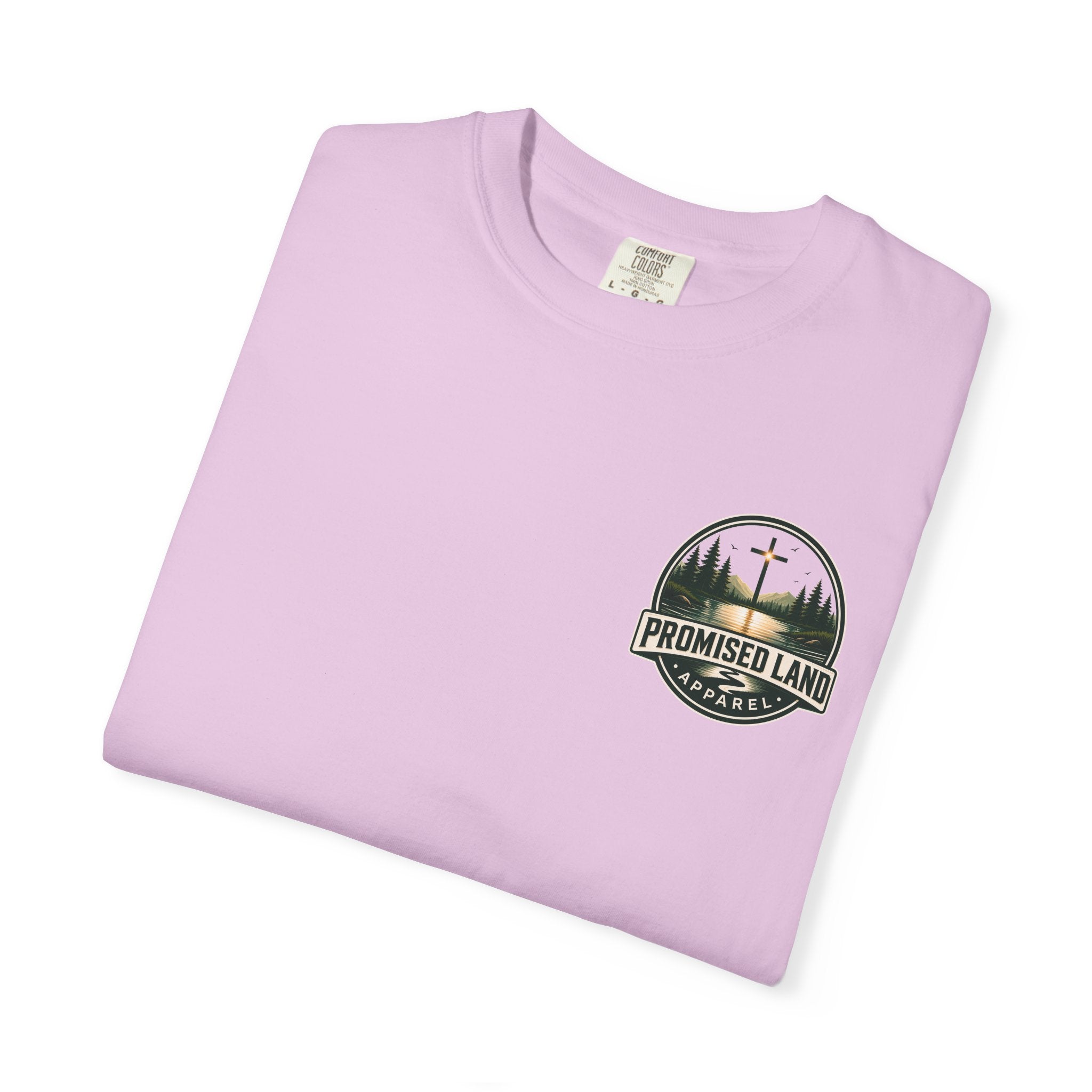 Promised Land Apparel T‑Shirt — Sunset Geese Graphic