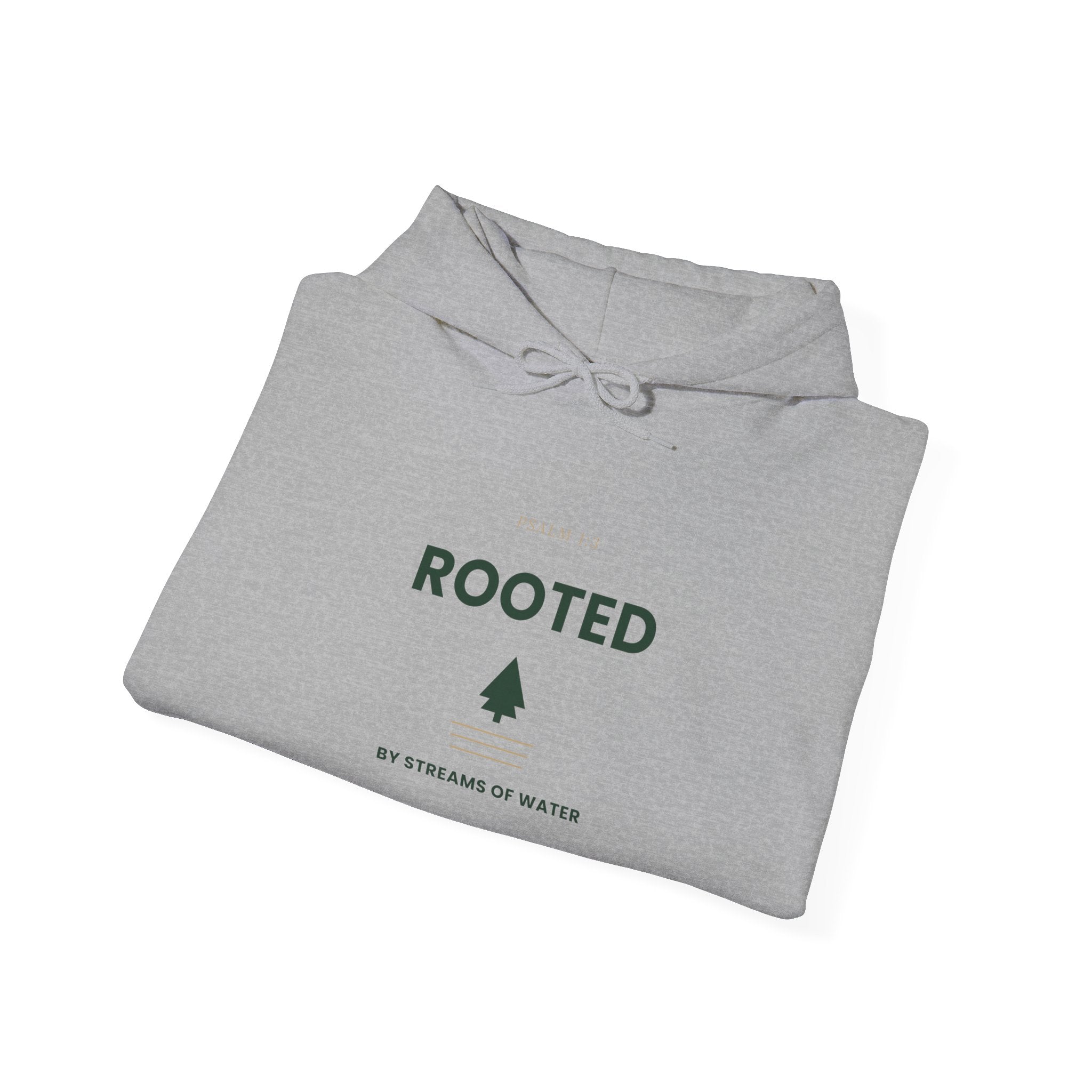 Unisex Heavy Blend™ Hooded Sweatshirt